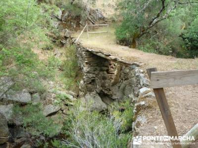 Parque Nacional Monfragüe - Reserva Natural Garganta de los Infiernos-Jerte;senderismo en madrid gr